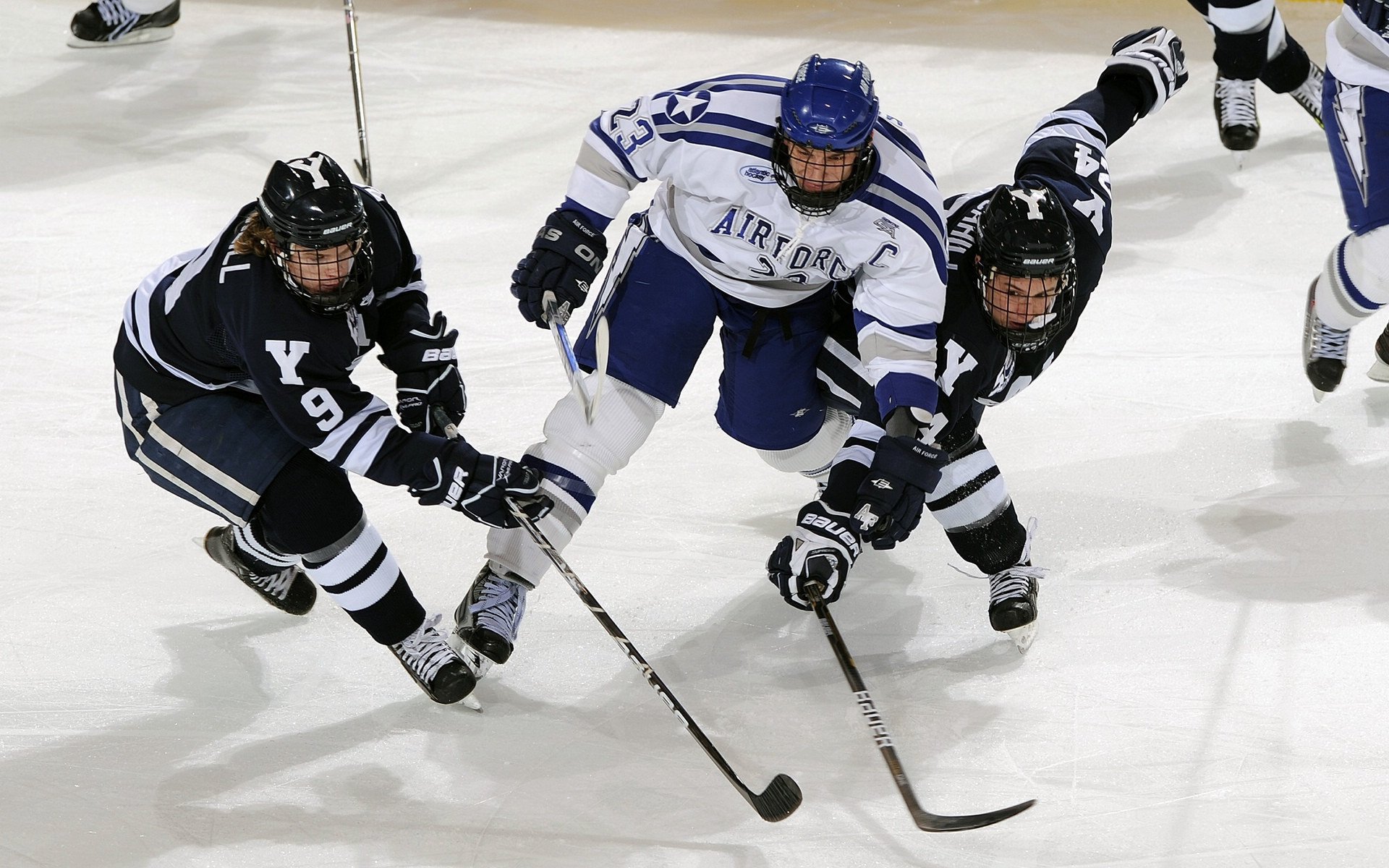 中学体育课增设运动风险防护内容，学校体育风险